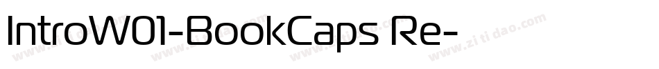 IntroW01-BookCaps Re字体转换